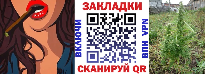 Где продают наркотики Покачи Псилоцибиновые грибы  Гашиш  Бошки Шишки  Cocaine 