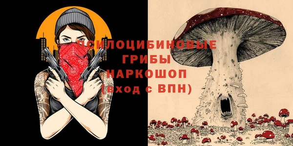 ешки Новодвинск