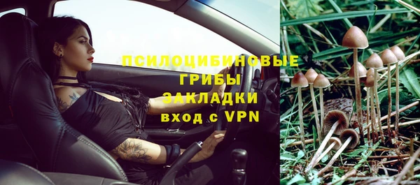 марки lsd Абаза