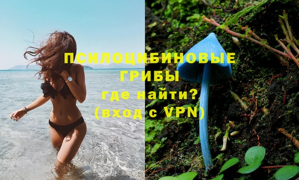 марки lsd Абаза