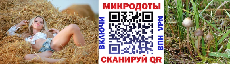Галлюциногенные грибы Cubensis  дарк нет формула  Покачи  ОМГ ОМГ ССЫЛКА 